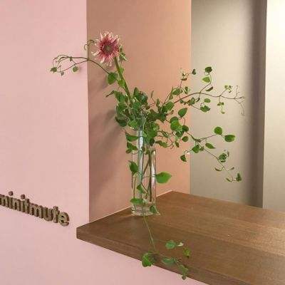 环球体育app最新版下载