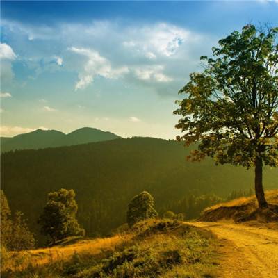 江南体育app在线下载截图