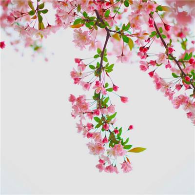 1788网投手机app下载